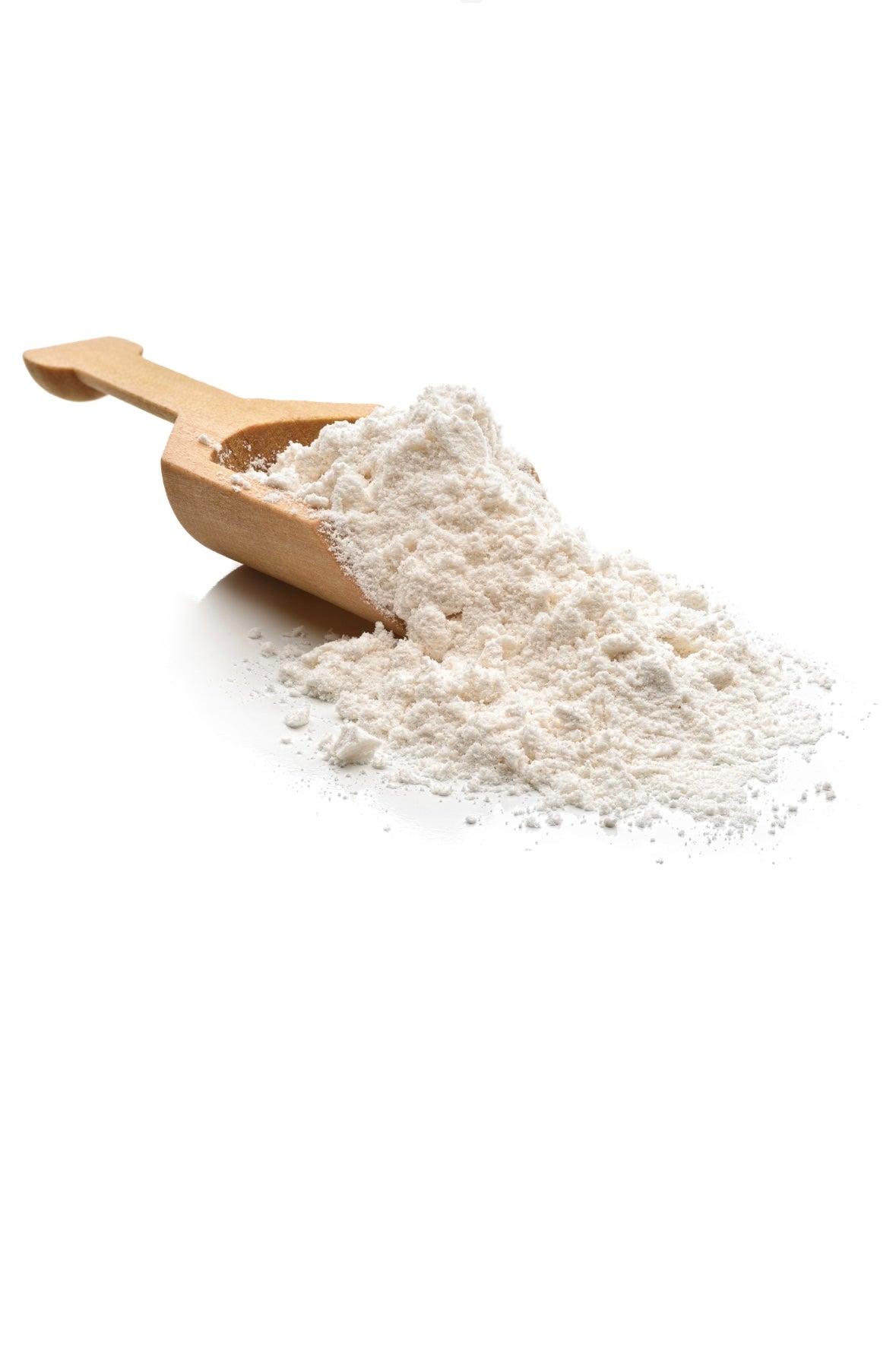 Probiotic Yogurt Starter