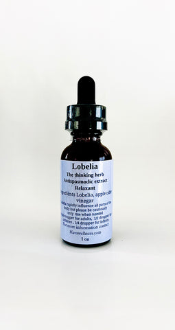 Lobelia
