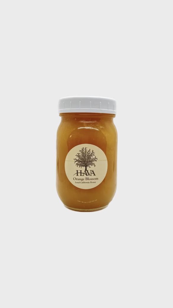 Raw Local Orange Blossom Honey