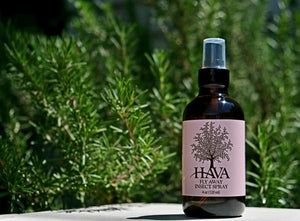 Fly Away Insect Spray